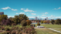 Who Pays for Bed Bug Treatment in Denver — Tenant or Landlord?