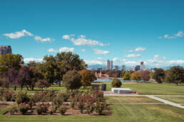 Who Pays for Bed Bug Treatment in Denver — Tenant or Landlord?